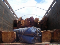 Contrebande : Grâce à l’appui de la jeunesse de M’bengue, le service des Eaux et forêt arrête un convoi frauduleux de bois.